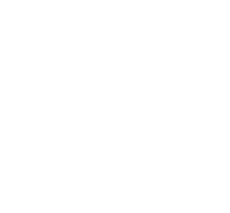 The Viterbo Effect